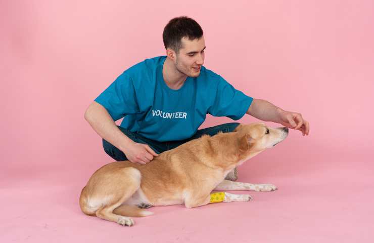 Volontario con il cane