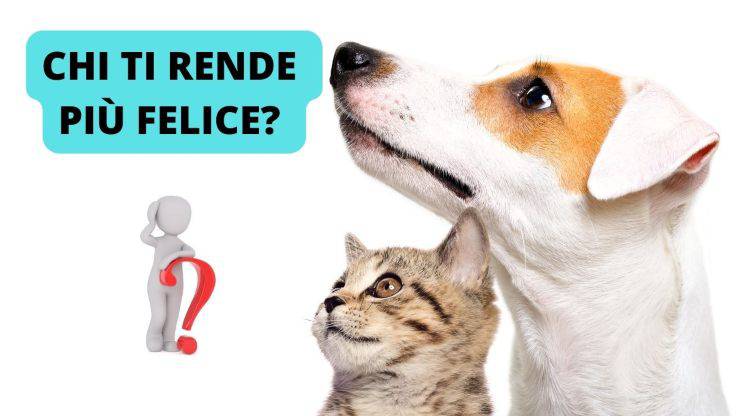 animali domestici