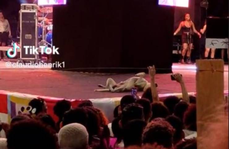 cane dorme sul palco del concerto