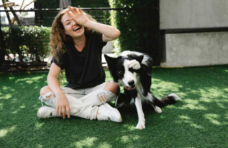 Cane gioca con la donna
