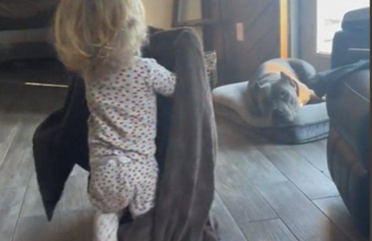 Coperta mamma cagnolino motivo