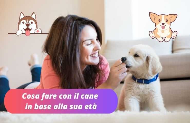 Cucciolo di cane 