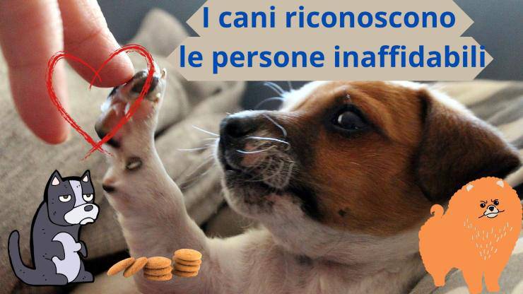 I cani sanno riconoscere le persone