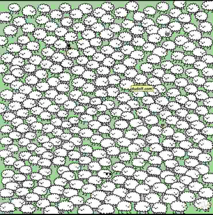 Solo i più intelligenti riescono a trovare le nuvole tra le pecore in 12 secondi 