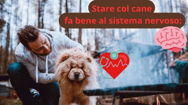 Stare col cane