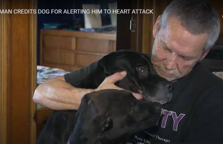 cane salva vita umano