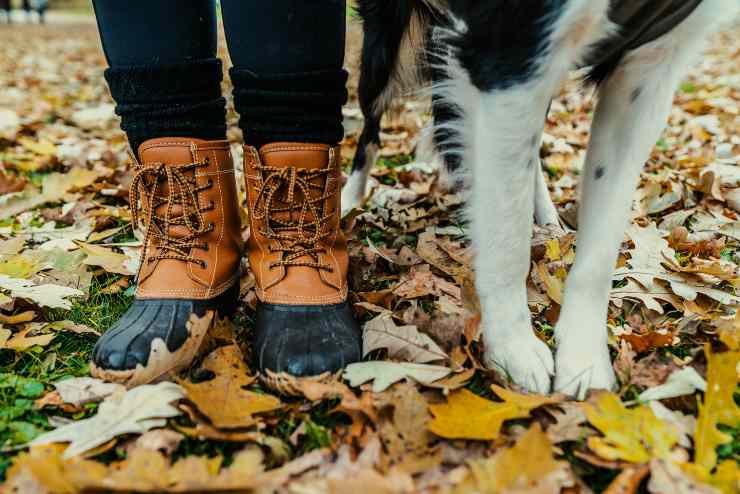 Il comportamento di fido