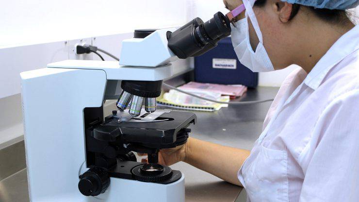 Osservare al microscopio