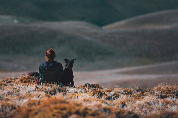 I cani per chi ama l'avventura