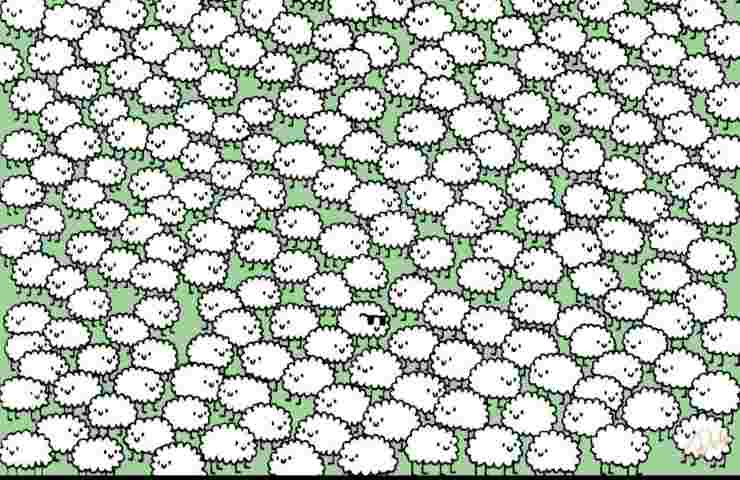 Solo i più intelligenti riescono a trovare le nuvole tra le pecore in 12 secondi 
