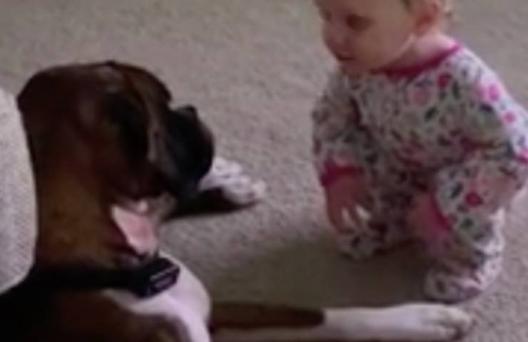 bambina interagisce pelosetto casa