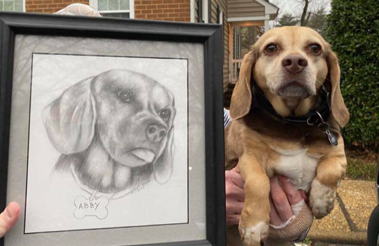 cagnolina Beagle disegno salvata