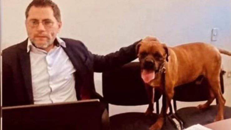 cane prende parte ad un processo