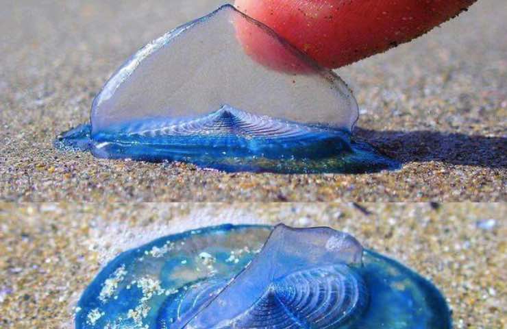 adagiata spiaggia doppia superficie
