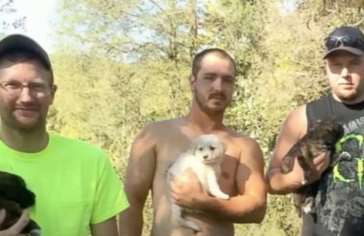 amici maschi cuccioli cane