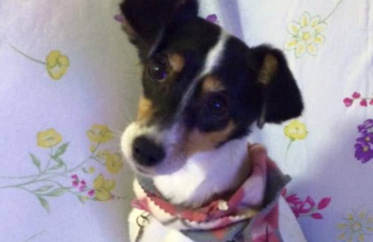 Penelope dolce attende sorellina 