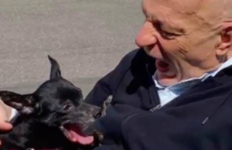 primo emozionante incontro cagnolina