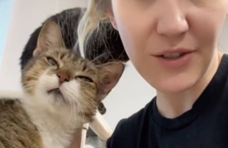 felino felicità nuova padroncina