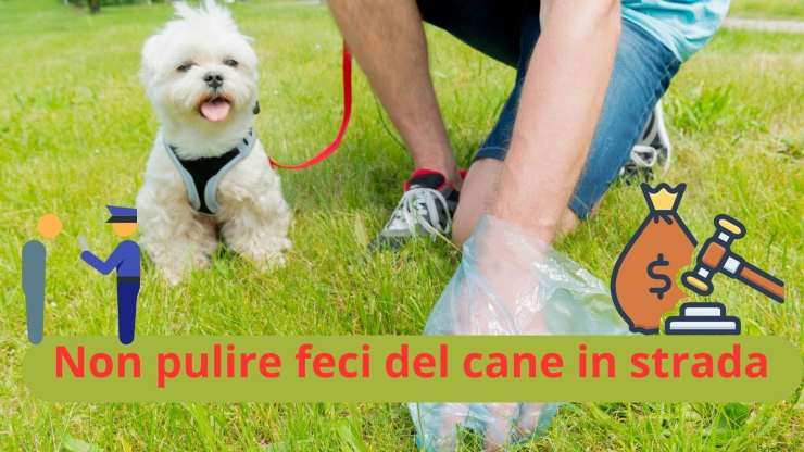 Raccogliere le feci del cane