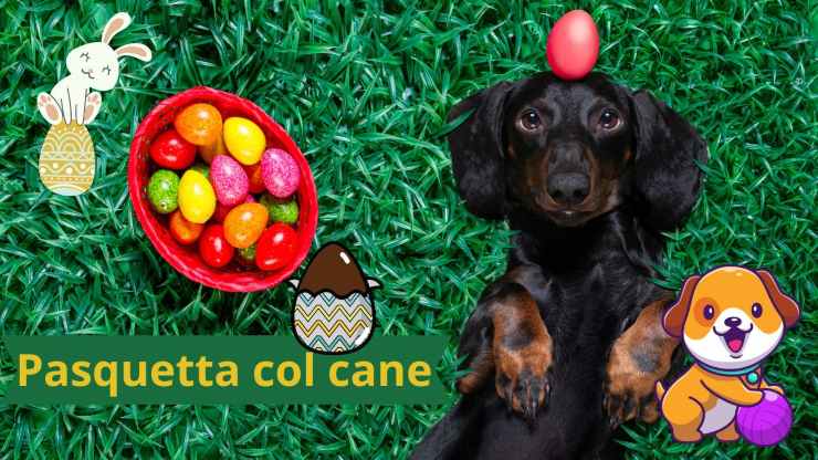 Cane a Pasquetta