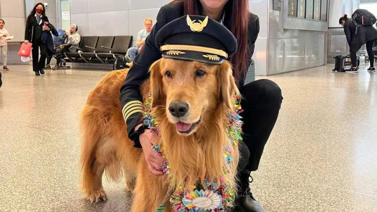 pet therapy