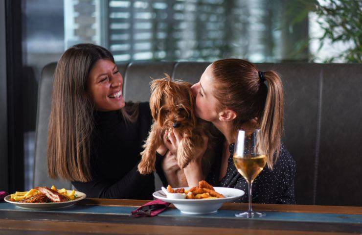 Amiche al ristorante col cane