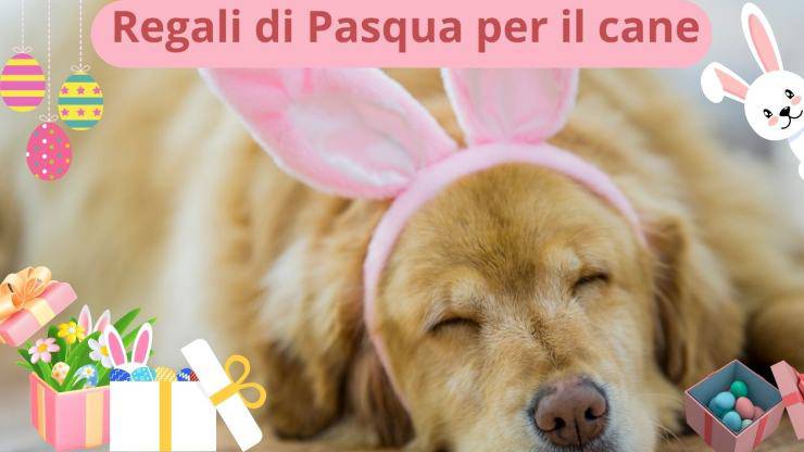 Pasqua col cane