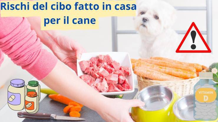 Cibo per cani