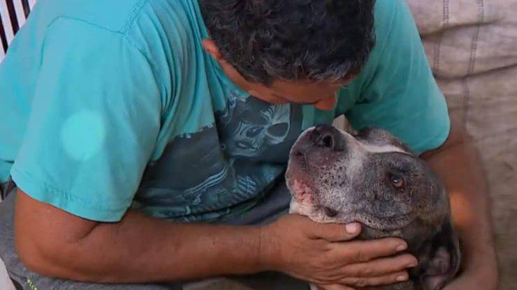 cane aiuta contro la depressione