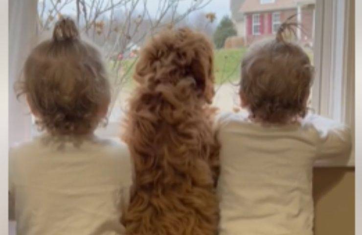 cucciolo bimbi attendono fratellino