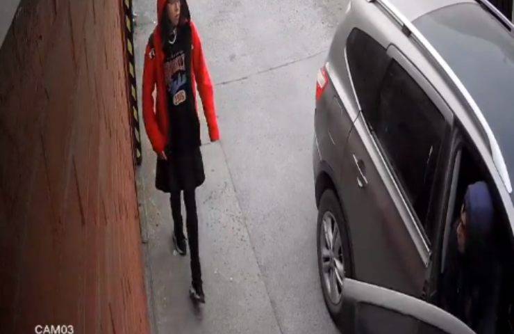rapimento bambina cane salvataggio