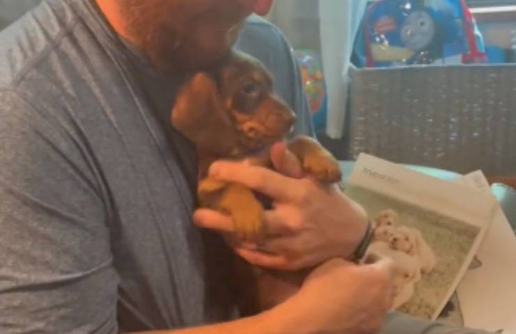 cucciolo primo abbraccio umano