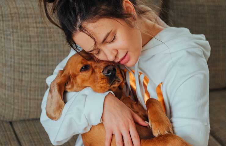 Cane a disagio