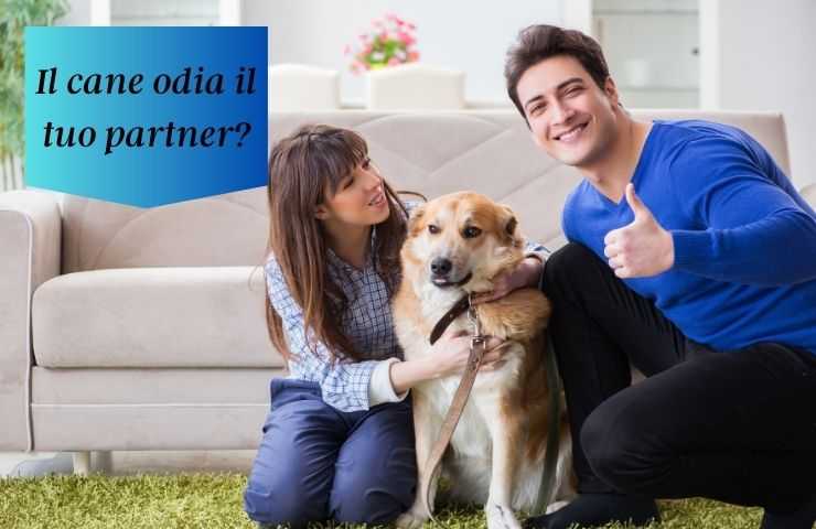 Cane non ama la presenza del partner