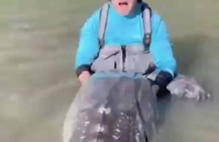 dinosauro gigante fiume canada