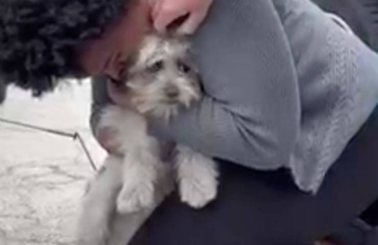 cucciolo cagnolino salvato abbraccio