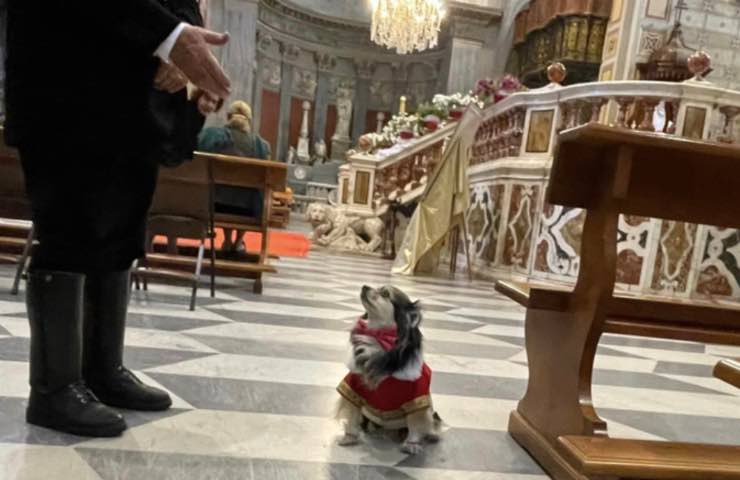 cane rispetta sacro rito