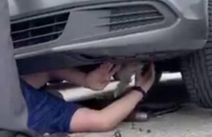 cucciolo bloccato tentativo recupero 