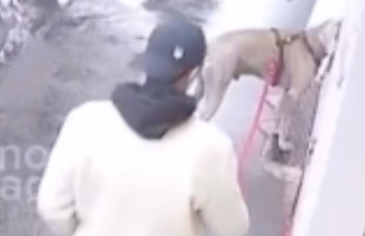 cane tentativo furto marciapiede