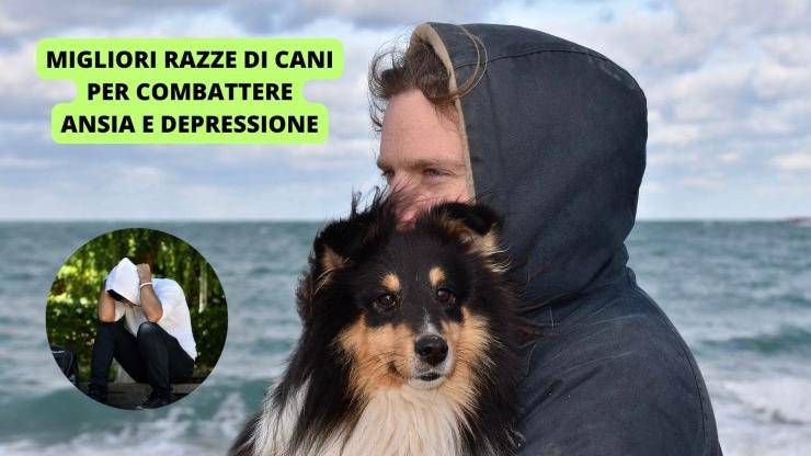 cane e padrone