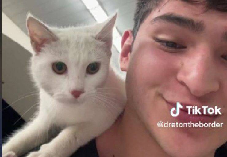 gatto sceglie il suo papà umano