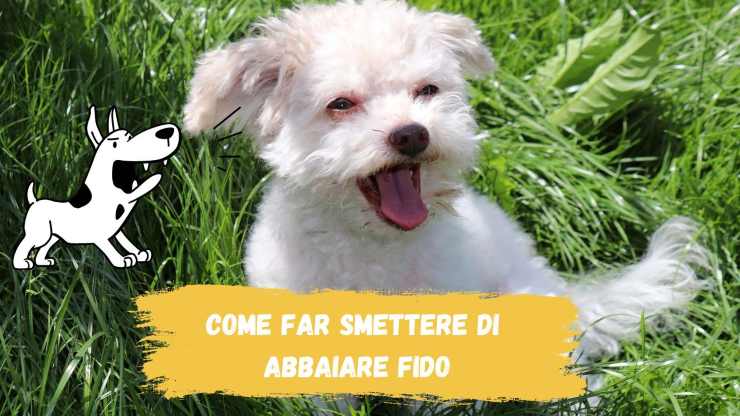 Accade spesso in condominio Succede spesso nel condominio