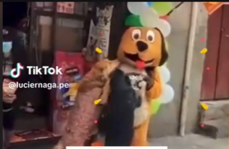 attira clienti costume cane