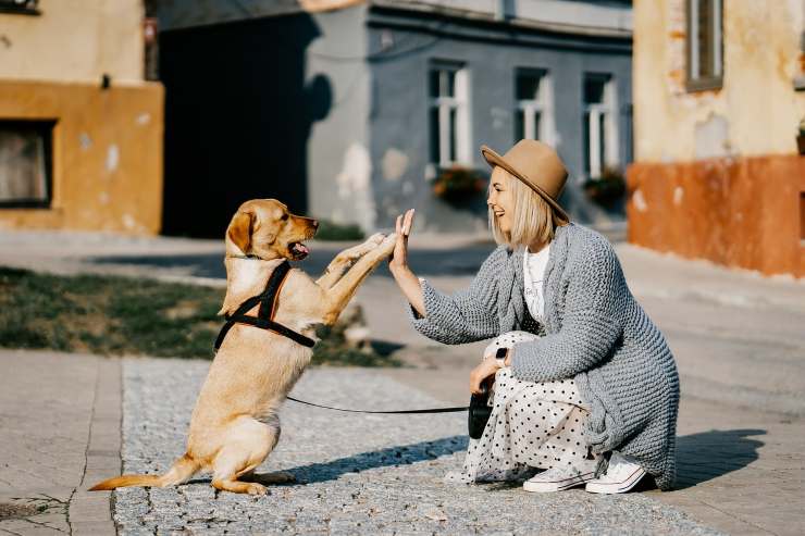 cane con ragazza