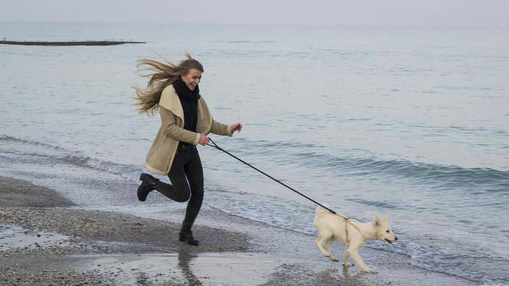 cane al mare