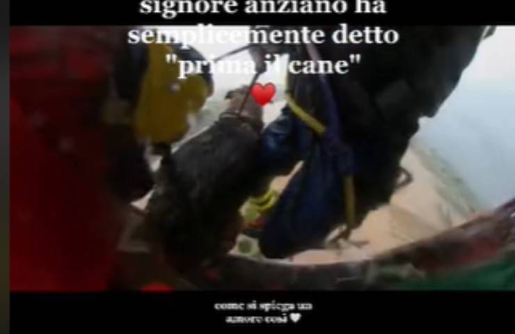 cane salvato emilia romagna