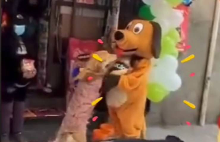 clienti nuovi cagnolini pupazzo
