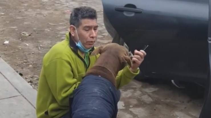 Incontro cane e padrone