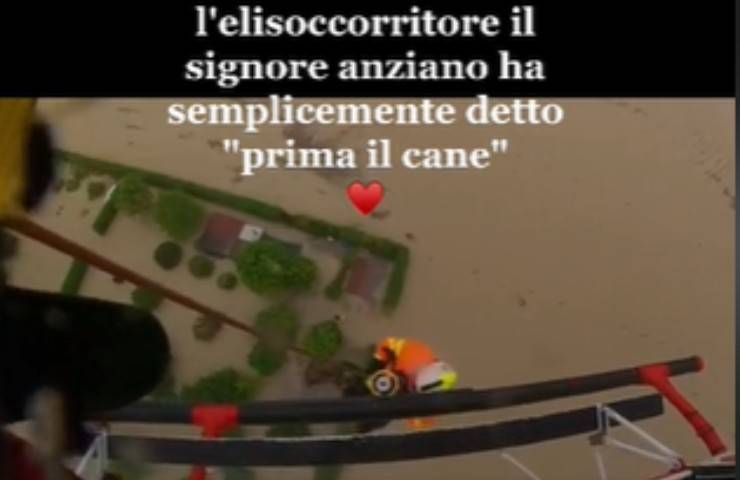 cane salvataggio uomo elicottero