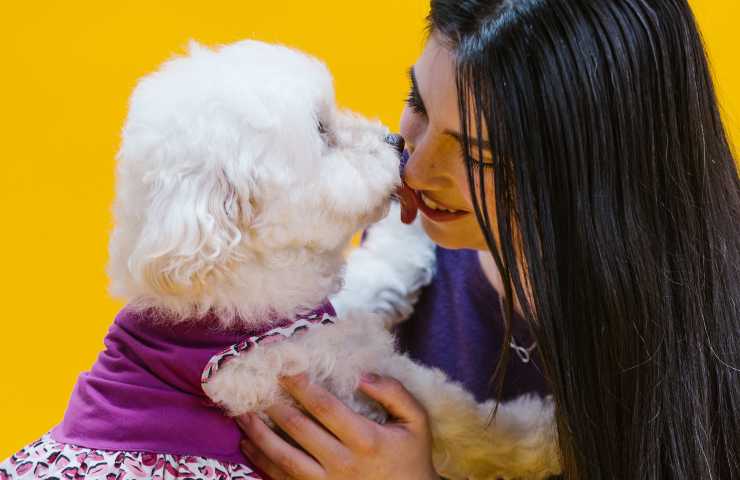 Cane con donna
